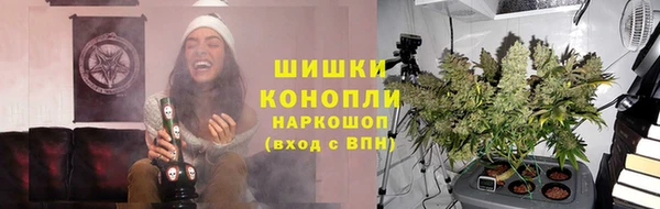 молекула духа Бугульма